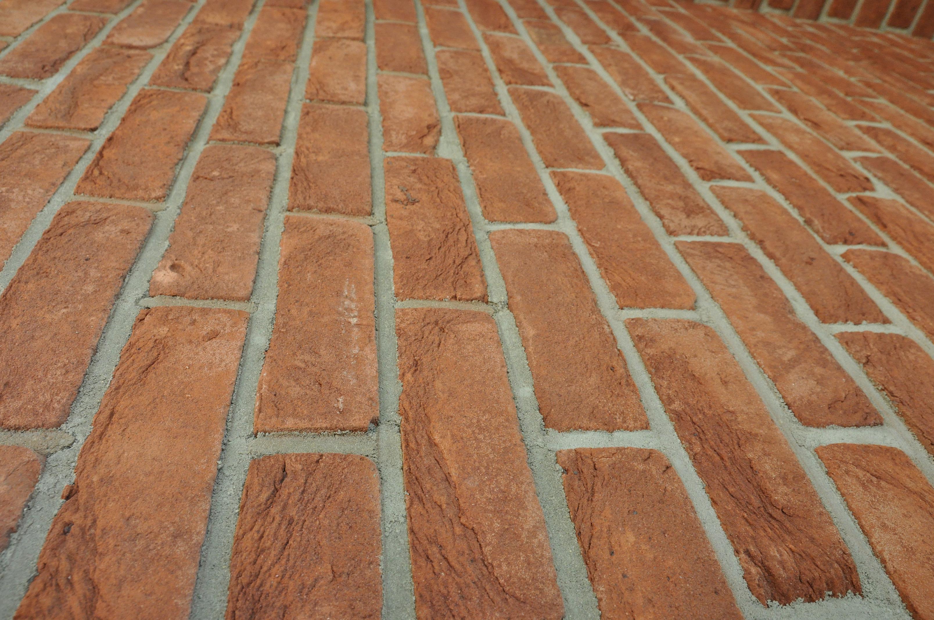 DSC_04211.jpg
