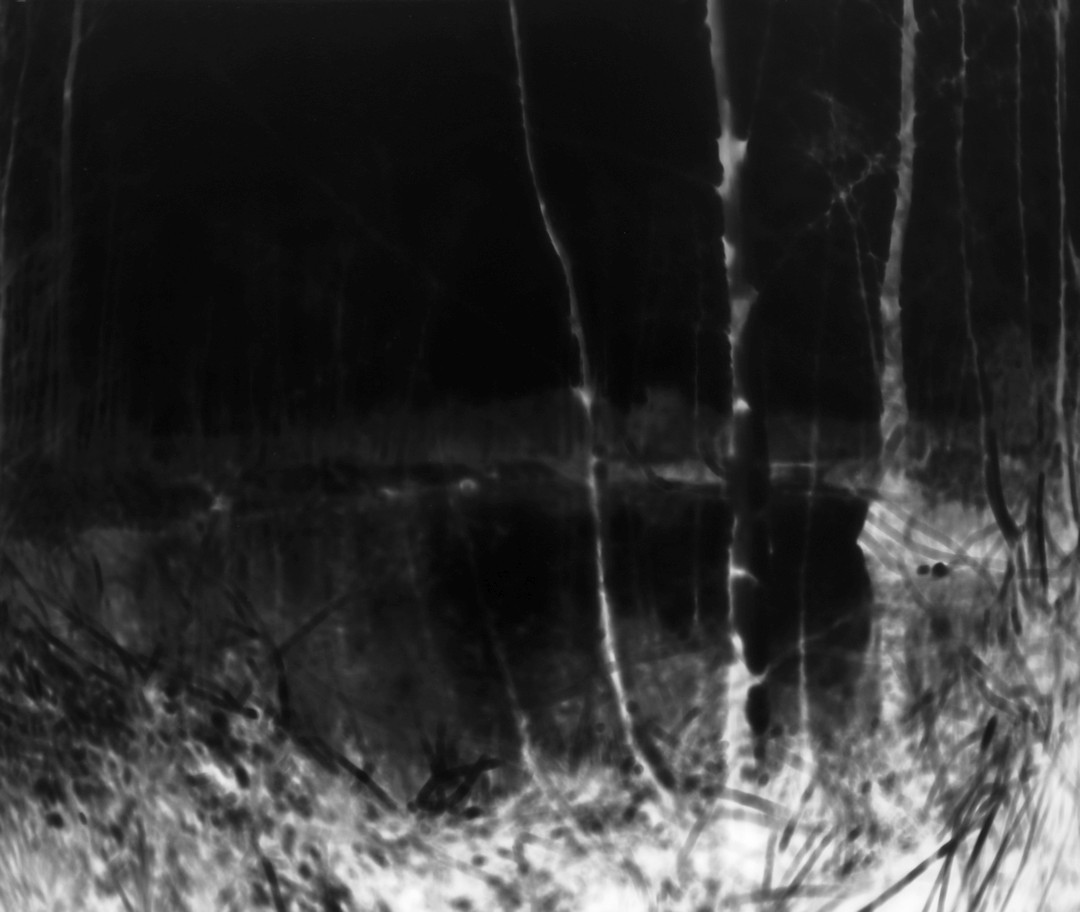 Pavel Talich, „Laguna I”, camera obscura, 2019 r.
