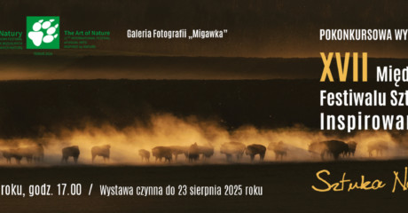 slajder 1920 x575 ckbb Sztuka natury 25