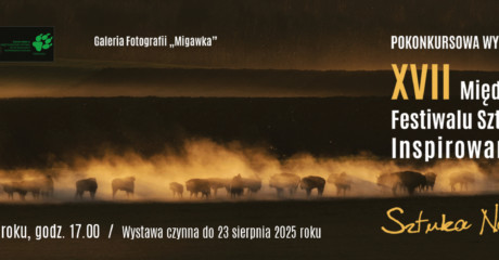 slajder 1920 x575 ckbb Sztuka natury 25