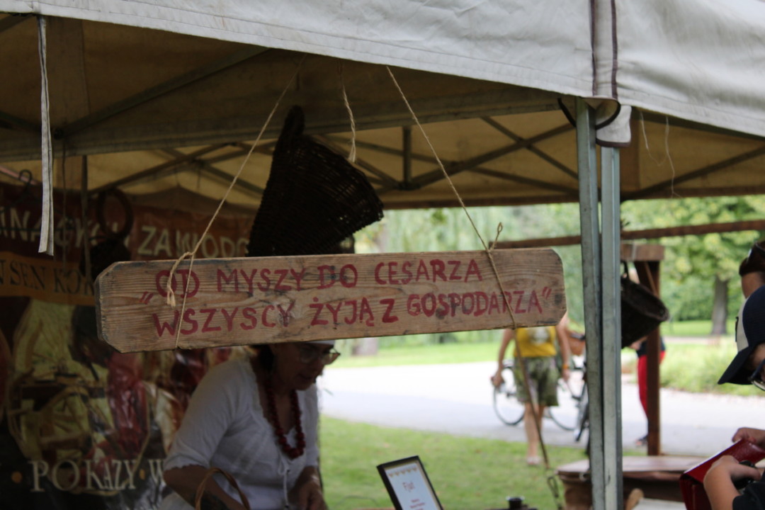piknik pod kujawskim niebem (54)