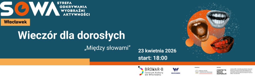 WDD Wloclawek v2 (1920 x 575 px)